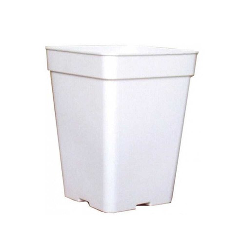 Pot carré blanc - , culture