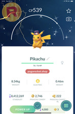 Shiny Pikachu Halloween Hat Costume Go Reg or 1M