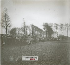 Ravitaillement hippomobile