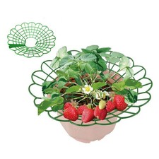 Support de plante de fraises en plastique support cage support pour plantes de j