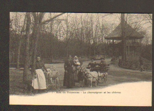 Bois vincennes - de, (94)