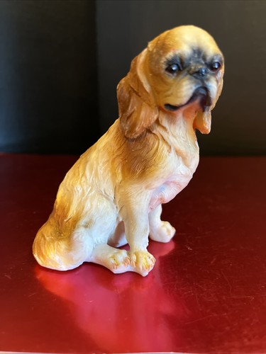Cavalier king charles - cavalier,,