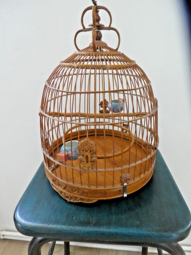 Cage oiseaux décorative - cage,