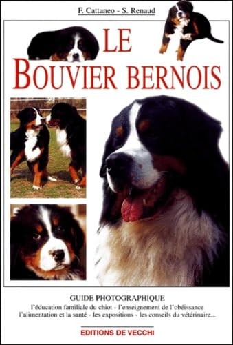 Bouvier bernois cattaneo - -,