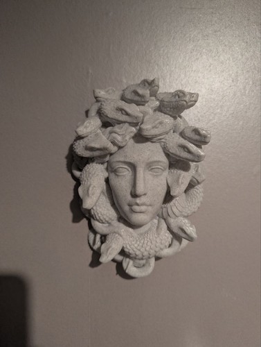 Méduse murale décoration - murale, 3d