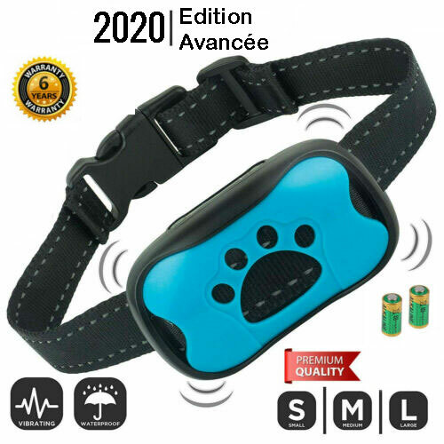 Collier chien anti - collier,