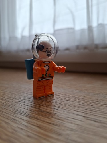 Lego professeur tournesol - professeur,