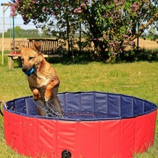 Piscine Pliable pour Chien en