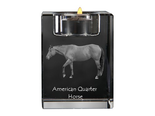 Quarter horse américain - horse,