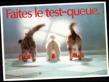 Advertising GUSTY / TRAINED DOG / POODLE TEST TAIL bowl period 1980