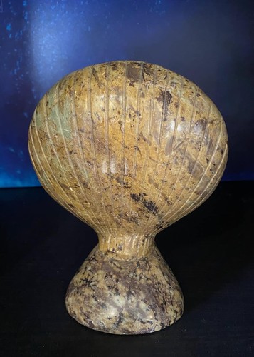 Coquille saint jacques - coquille,