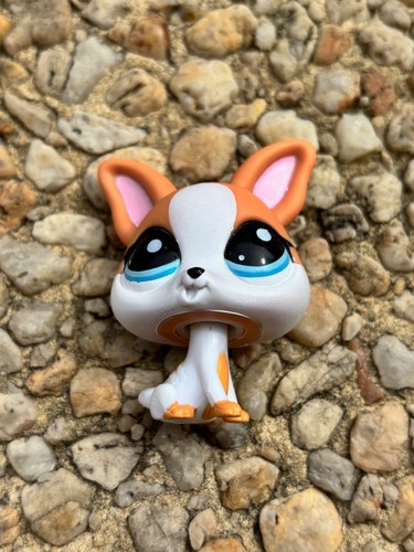 Littlest petshop lps - littlest, chihuahua
