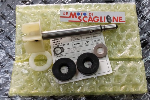 Arbre pompe eau rotax - pompe,