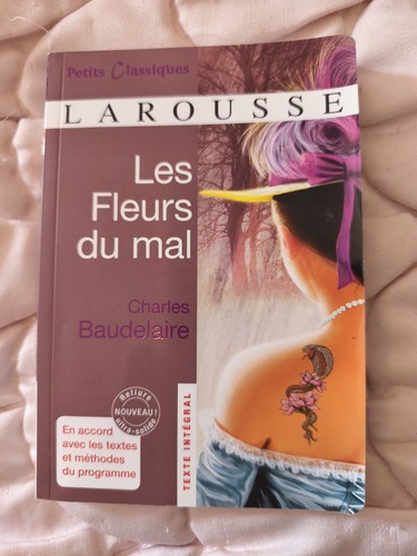 Livre larousse classique - livre,