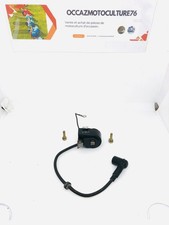 Bobine D’allumage Souffleur