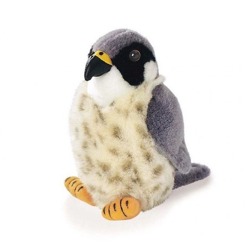 Peluche sonore faucon pèlerin - faucon,