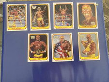 1991 Merlin WWF Italian Hulk