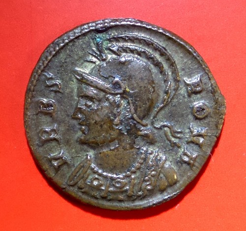 Centenionalis nummus - ou,