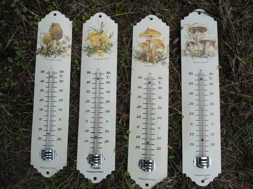 Thermomètre extérieur