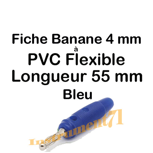 Fiche banane bleu pour - fiche,