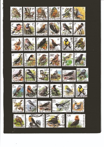 Belgique lot timbres - lot,