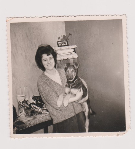 Photo femme tenant - dans, les
