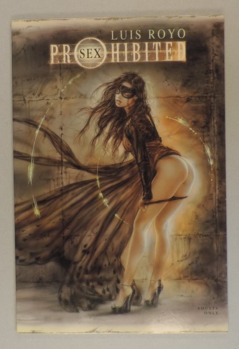 Prohibited sex luis royo - prohibited,