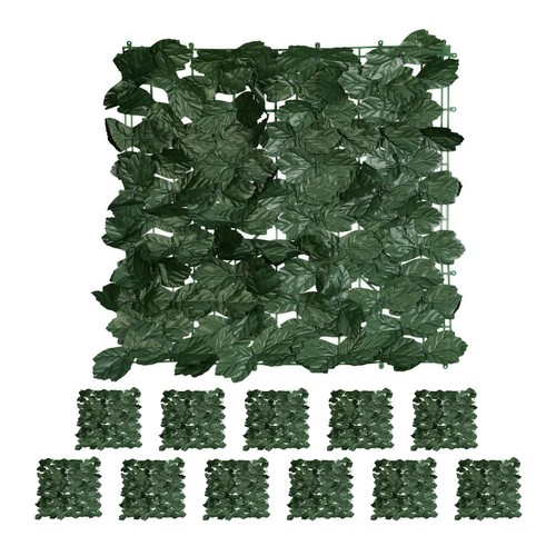 24x brise vue - 24x, lierre