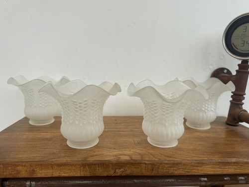 Lot tulipes ancienne - lot,