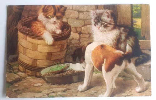 Carte postale ancienne chats - ,