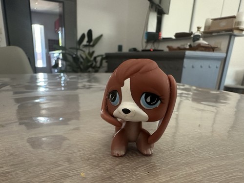 567 chien chiot - chien,