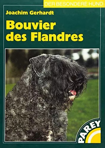 Bouvier des flandres - flandres,