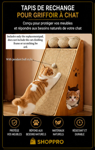 Griffoir chat incliné - griffoir,