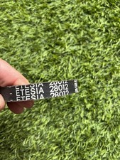 courroie de boite / traction