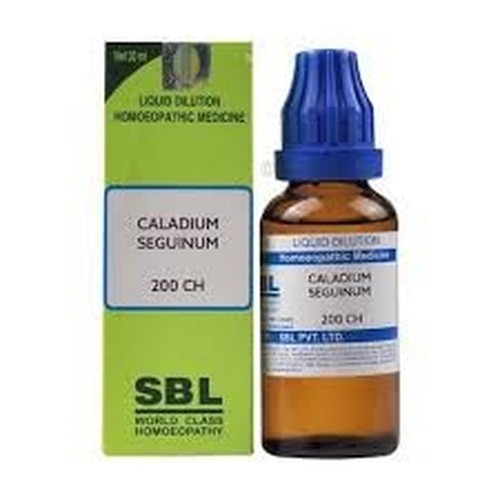Sbl caladium seguinum - sbl,