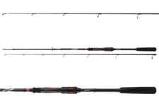 DAIWA Ninja EXT Rotation 2,45m