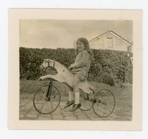 Photo tricycle trike cheval - trike,