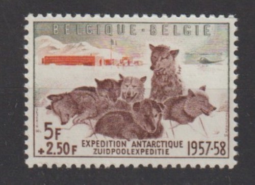 Belgium 1957 cob 1030 - -,