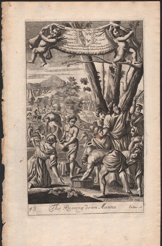 1712 beautiful engraving bible - beautiful,