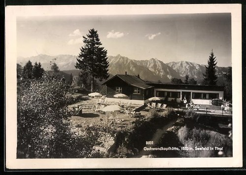 Cabane tête murale - cabane, à