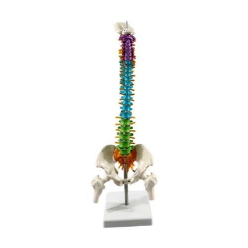 Colonne de - colonne,