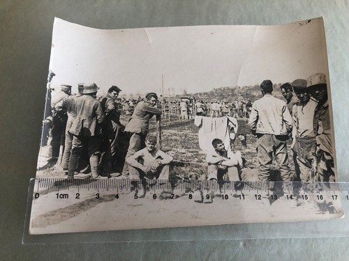 Photo militaria ww1 - photo,