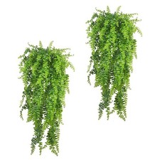  2 Sets Décoration Terrarium