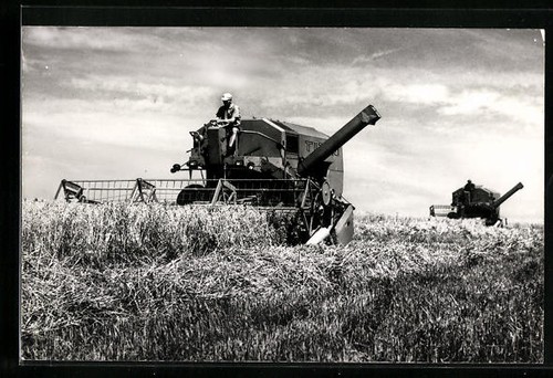 Carte postale bauer assis sur - carte,