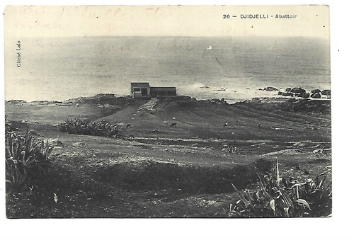Algerie djidjelli abattoir - algerie,