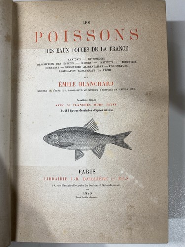 Rare 1880 les poissons - rare,