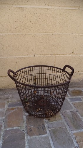 Veritable panier pomme terre - veritable,