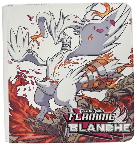 Classeur pokémon pour master - pour,