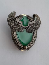 Patent 13°RDP Dragons Para Forces Speciales 