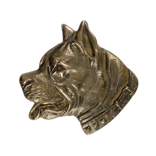 American staffordshire - american,